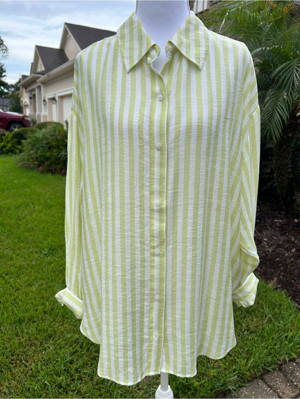 NWT🌷EXPRESS Lime and White Striped Button-Down Shirt